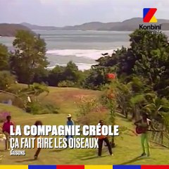 TRACK ID - Molécule