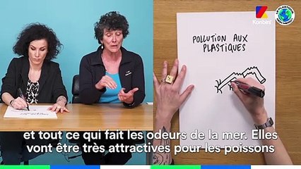 Le Papier Crayon spécial #LePlastiqueNonMerci avec la présidente de WWF France et Coco