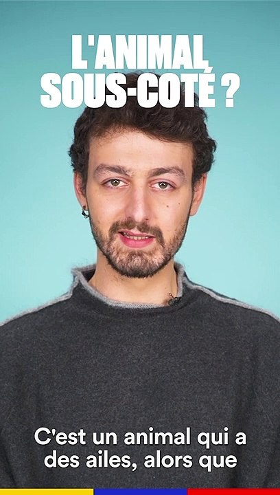 Passion Animaux avec Roman Frayssinet