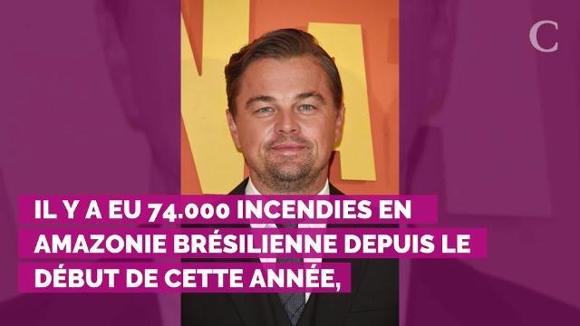 Leonardo DiCaprio : son monumental don pour sauver l'Amazonie des flammes