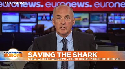 Wildlife conference adopts news protections for Mako sharks