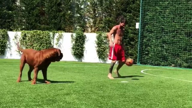 Leo Messi Show, dribbling e palleggi con il suo cane | Notizie.it