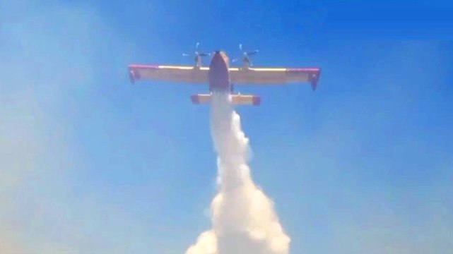Incendi boschivi in Italia: 52mila interventi tra giugno e agosto (26.08.19)