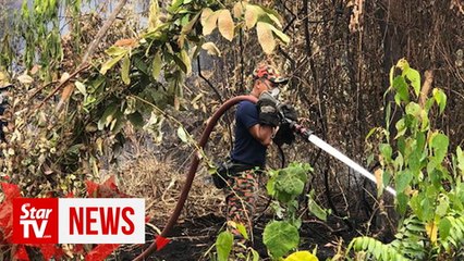 Firefighters may take a few more days to extinguish wildfire in Johor