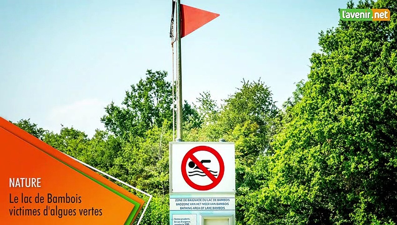L'Avenir -Baignade interdite au lac de Bambois