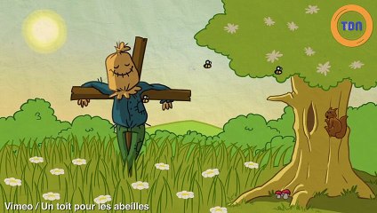 Découvrez pourquoi les abeilles sont si importantes !