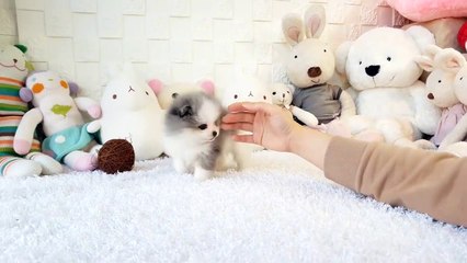 여수출장안마 -후불100%ョOiOV5694V2960｛카톡BRO87｝ 여수전지역출장안마 여수오피걸 여수출장마사지 여수출장안마 여수출장마사지 여수콜걸샵안마 여수출장아로마여수출장안마후기ЖчК여수출장샵마사지
