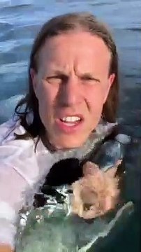 Deux rescapés d’un crash d’avion se filment pour attendre les secours