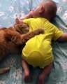 Trop mimi ! Un bébé et son chat dorment toujours ensemble.
