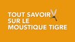  Tout savoir sur le moustique tigre