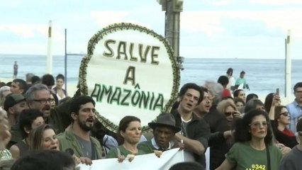 Rio'da Amazon yangınları sebebiyle Brezilya hükümeti protesto edildi