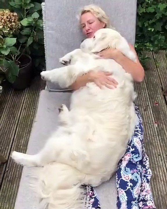 Wow ! Admirez ce très beau chien blanc roi !