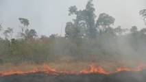 El G7 consigue 20 millones de dólares para la lucha contra el fuego en la Amazonía