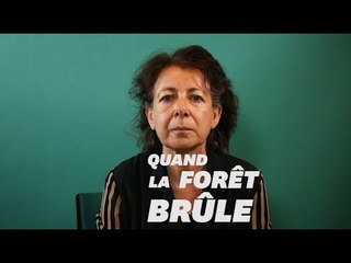 Que révèlent les importants feux de forêt de notre rapport à la nature?