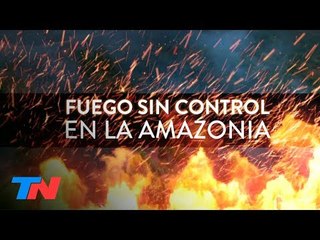 "Lo intencional está fuera de duda": Nelson Castro en la Amazonia en llamas