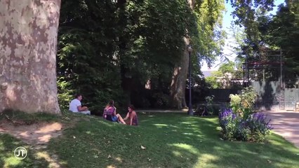 METEO / Le retour des fortes chaleurs