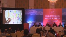 Chile busca que la tecnología puntera abra una nueva vía comercial con India