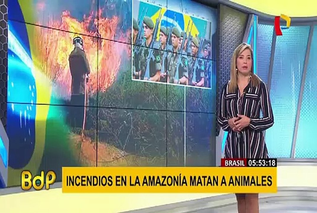 Brasil: desolador panorama tras incendios forestales