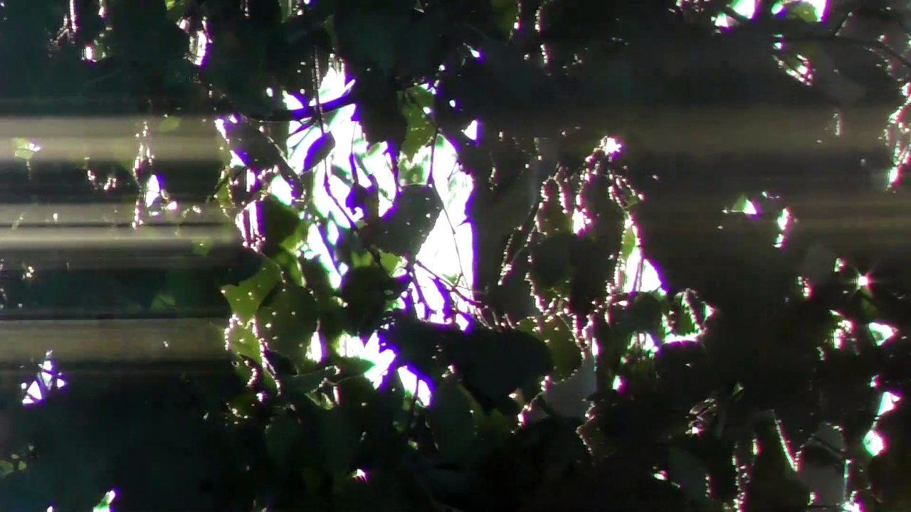 July 28 2019 DL3