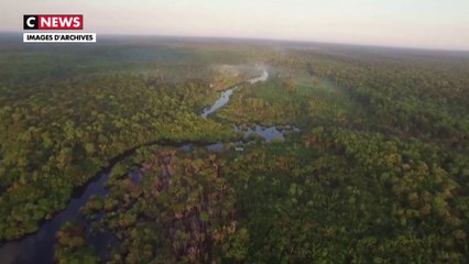 L’Amazonie, le poumon vert de la planète