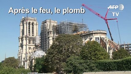 Plomb à Notre-Dame: la décontamination du parvis en cours