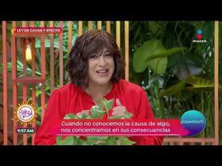 ¿Cuál es la ley de causa y efecto? | Sale el Sol