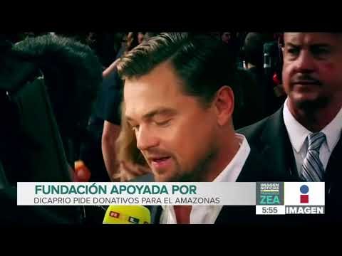 Fundación apoyada por Leonardo DiCaprio pide donativos para la Amazonía | Noticias con Paco Zea
