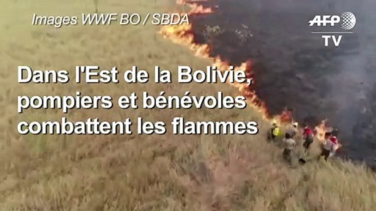 Bolivie: bénévoles et pompiers combattant les feux