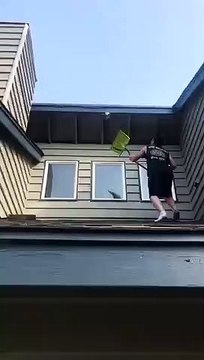 Pour éliminer un nid de guêpes, ce jeune monte sur le toit de sa maison !