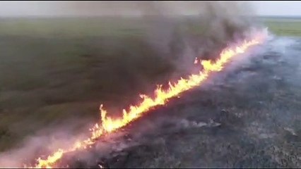 Bolivia concentra lucha contra el fuego en frontera con Brasil y Paraguay