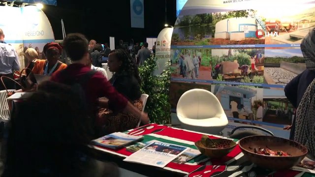 - Türk gençler suyu temizlemek için yeni bir yol buldu- Uluslararası Stockholm Su Haftası başladı