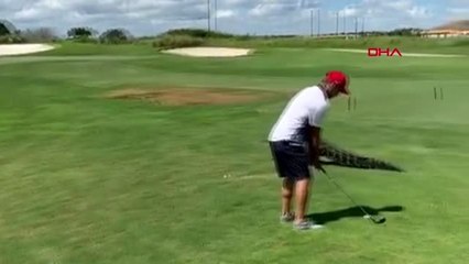 Timsaha rağmen golf oynamaya devam etti