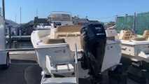 2020 Scout 195SF Boat For Sale at MarineMax Long Island, NY