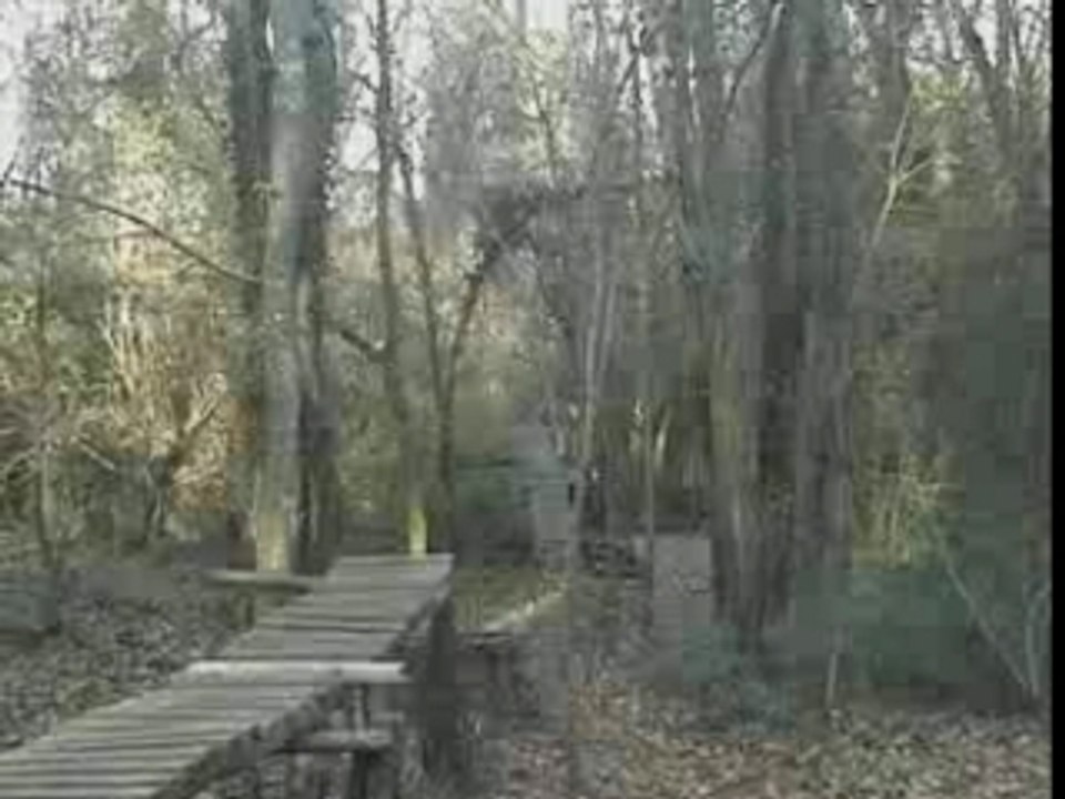 the mud shore 3