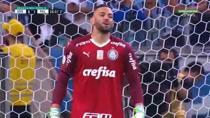 GREMIO 1X1 PALMEIRAS 1TP BRASILEIRAO 2019 (1)