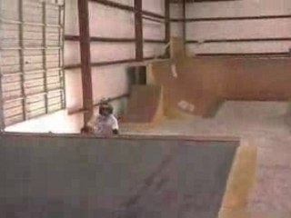 Bmx freestyle dave mirra