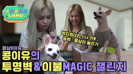 [이유의 러브 하우스] 이유있는 천재견 콩삼이의 투명벽 & 순간이동 챌린지