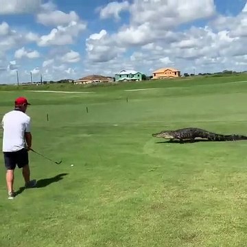 Golfing in Florida is just different