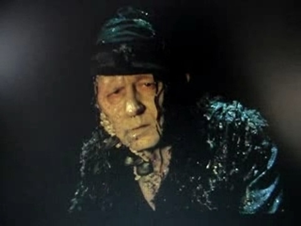 Primates des caraibes 1