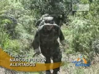 NARCOS FUERON ALERTADOS - TINGO MARÍA