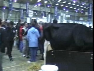 Terralies 2008 l etable