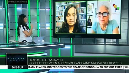 Critical Moves: The Amazon