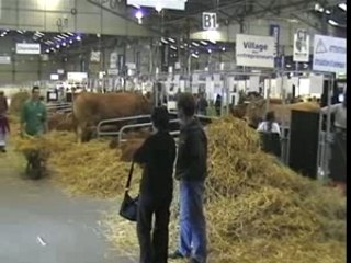 Terralies 2008 l etable