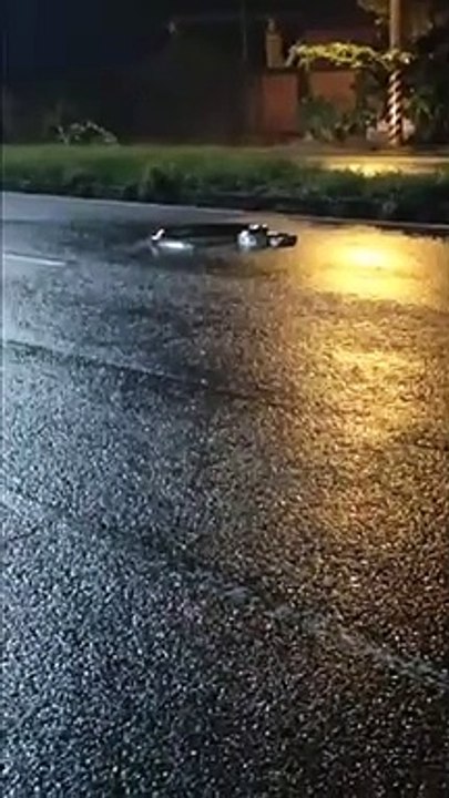 Ce héros capture un serpent de 5m qui mordait les voitures sur l'autoroute !