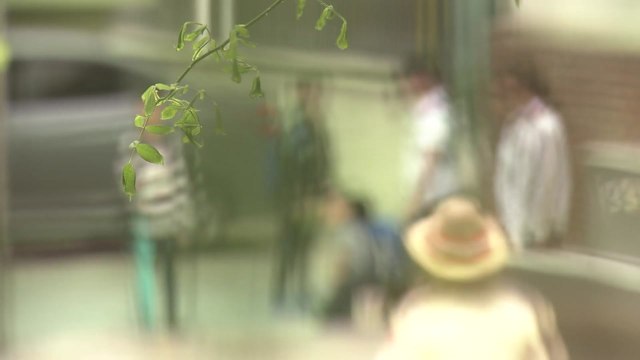 '학교 폭력' 신체 폭력 줄고 정서적 폭력 늘고 / YTN