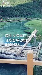 斯特林大学毕业证成绩单[Q/微9105133 ]史特灵毕业证成绩单公证*学位证书文凭学历认证/留信网认证录取通知书,雅思托福成绩单,在读证明//使馆认证公正University of Stirling