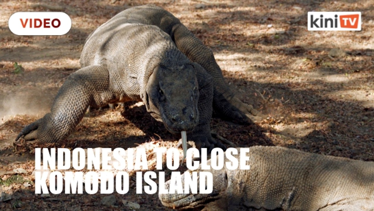 Indonesia to close Komodo island leaving guides, villagers in the lurch