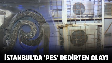 ATM'yi patlatıp soymaya çalıştılar!