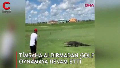 Timsaha aldırmadan golf oynamaya devam etti