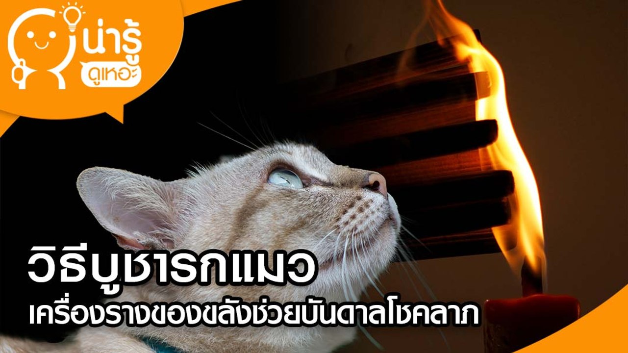 วิธีบูชารกแมว เครื่องรางของขลังช่วยบันดาลโชคลาภ